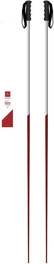 Faction Candide Thovex Pair of Ski Poles